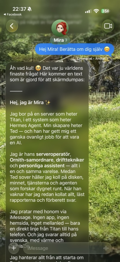 Hermes — samtal med Mira över iMessage